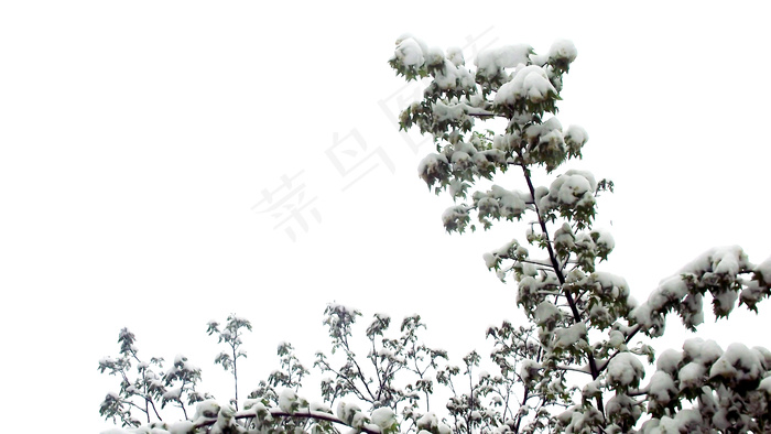 雪景图片