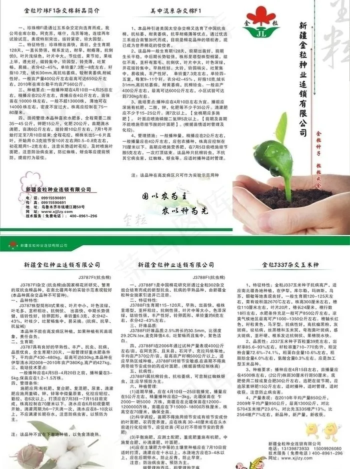 种子三折页图片cdr矢量模版下载