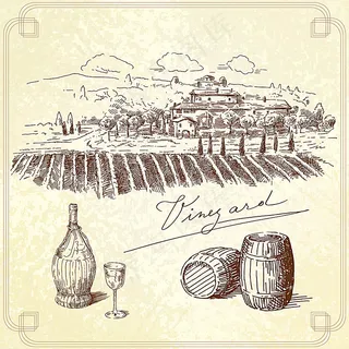 葡萄园插画 葡萄园插画