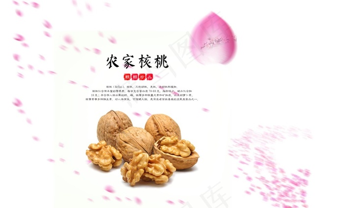 核桃海报psd模版下载