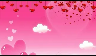 婚礼视频素材图片