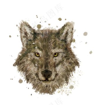 手绘水彩动物狼头像