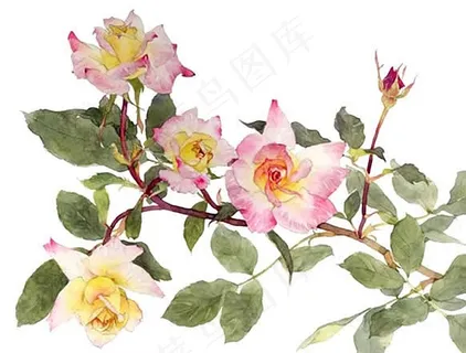 位图 写意花卉 植物 花朵 免费素... 位图 写意花卉 植物 花朵 免费素...