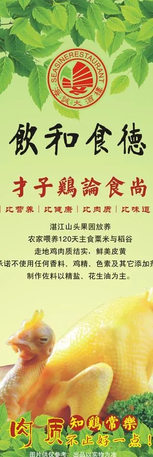 水晶鸡x展架图片cdr矢量模版下载