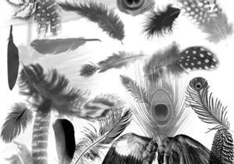 120个羽毛笔刷 下载 120个羽毛笔刷 下载