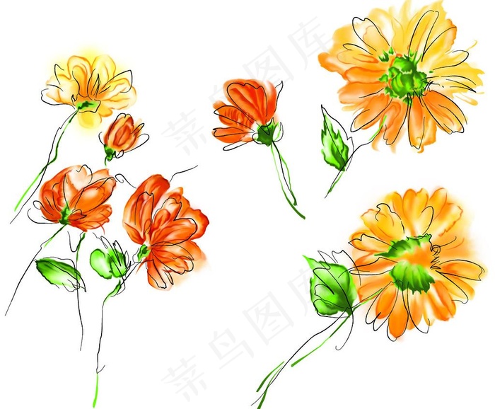 手绘水黄菊两组图片(4016X3543(DPI:300))psd模版下载