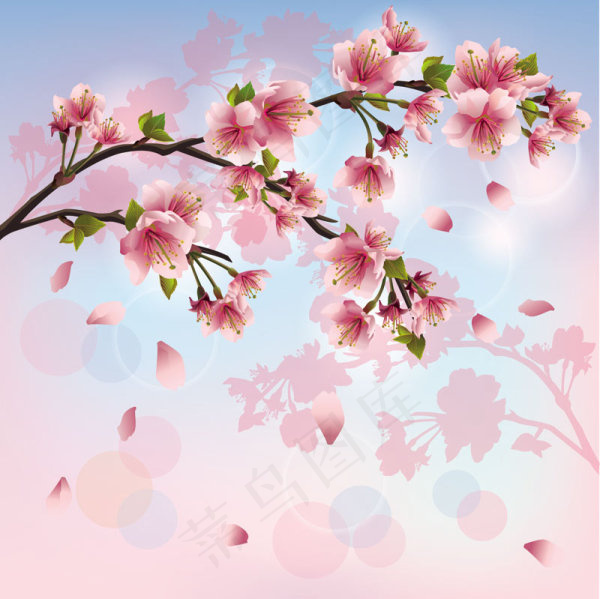 精美桃花03—矢量素材