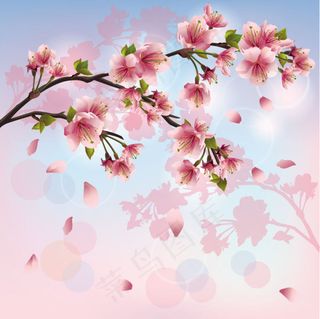 精美桃花03—矢量素材