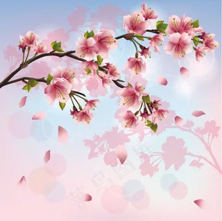 精美桃花03—矢量素材