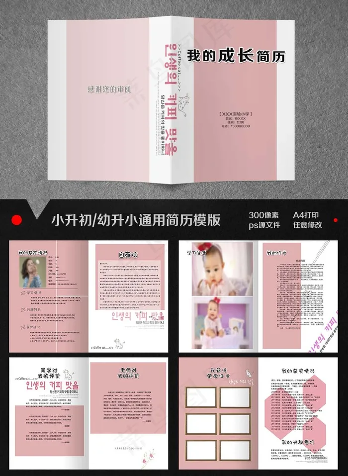 简约风小升初简历模板设计