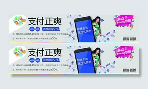 支付正爽图片