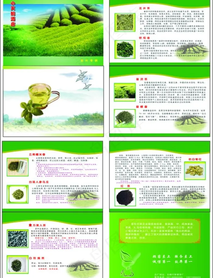 茶叶 宣传册图片cdr矢量模版下载