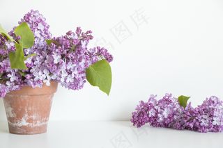 简约小清新文艺风插花静物摆拍背景