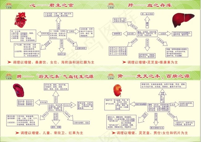 无限极养生cdr矢量模版下载