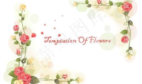 韩国植物装饰边框矢量图43