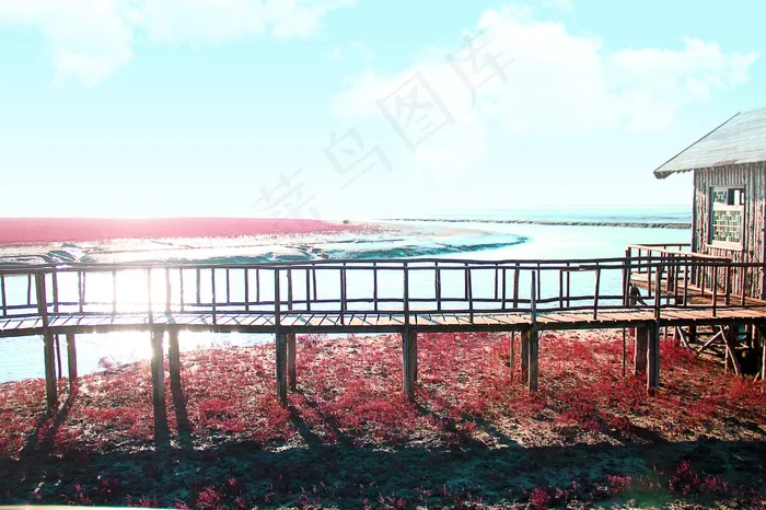 风光红海滩图片