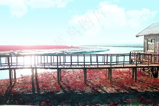 风光红海滩图片