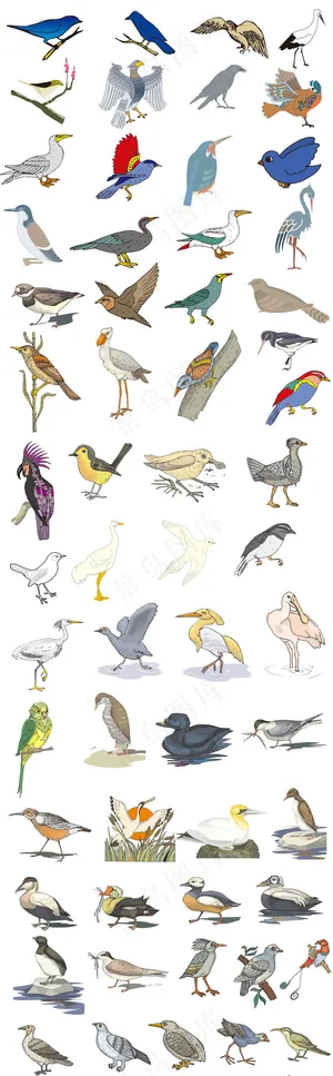 多款卡通飞鸟小鸟素材