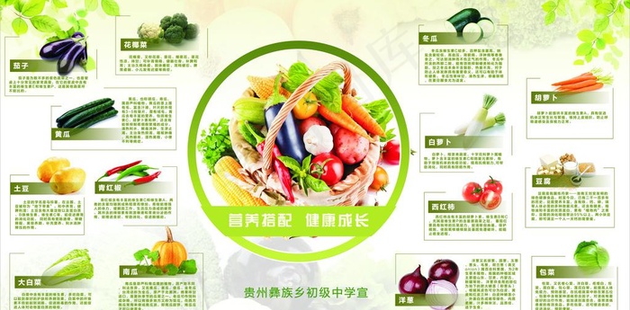 蔬菜宣传 营养答配图片cdr矢量模版下载