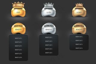 金色皇冠网页价格表PSD分层