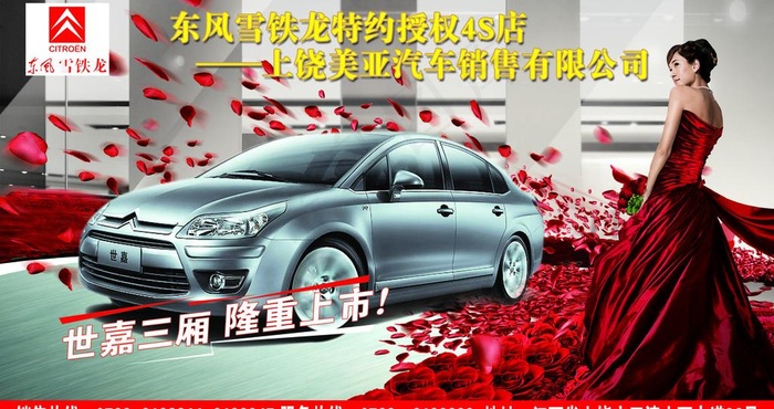 东风雪铁龙图片