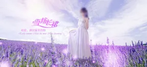 薰衣草女装banner