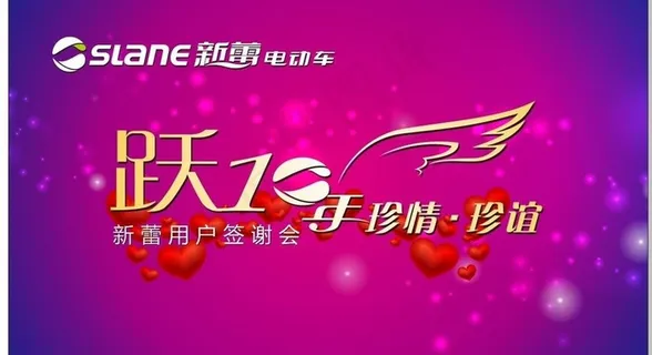 新蕾电动车跃10年图片