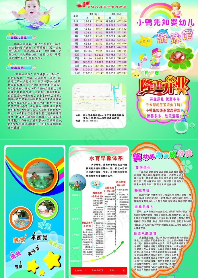 婴儿游泳馆三折页图片(216X297)cdr矢量模版下载