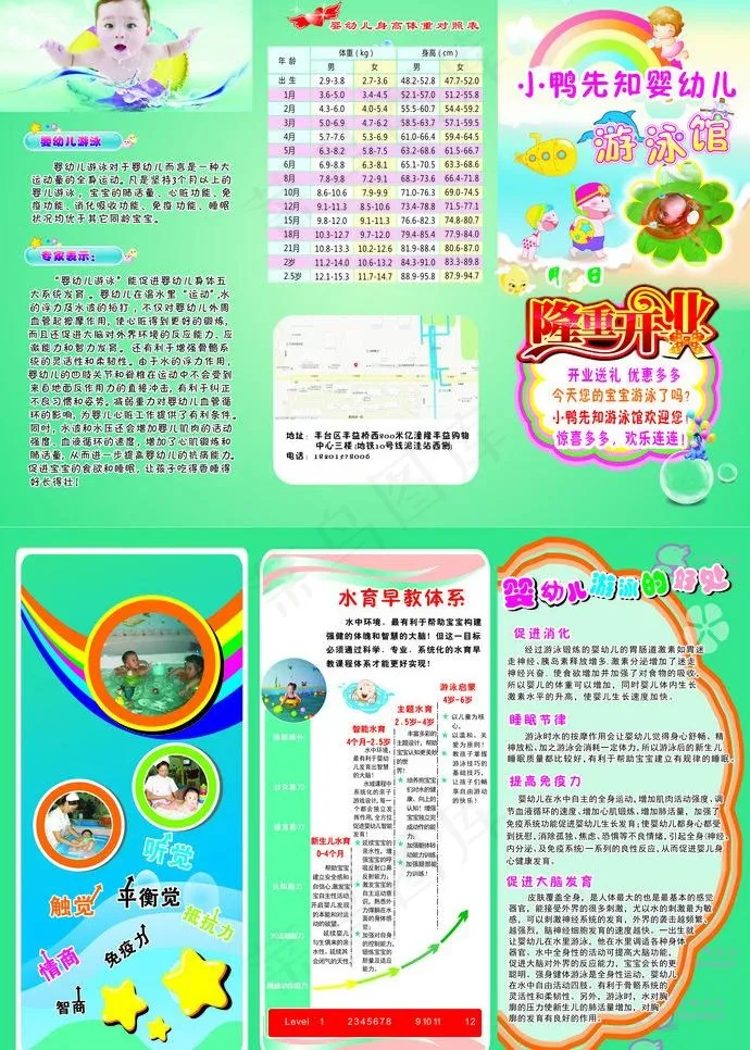 婴儿游泳馆三折页图片(216X297)cdr矢量模版下载