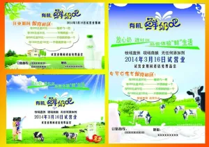 有机鲜奶吧宣传彩色单页PSD素材下...