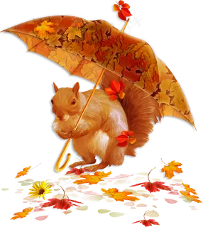 可爱松鼠打着一把伞