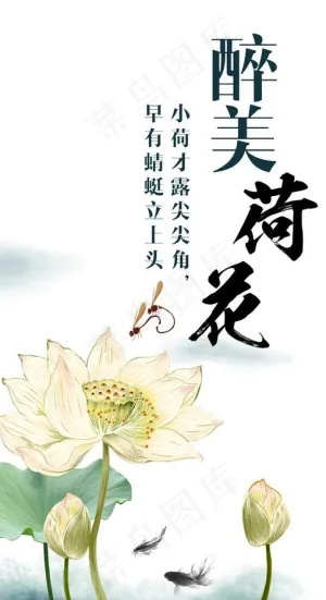 水墨荷花图片