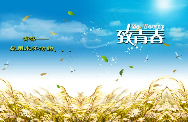 青春同学录画册(2303X1594(DPI:150))psd模版下载