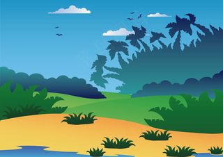 爱护动物小报动物世界手抄报