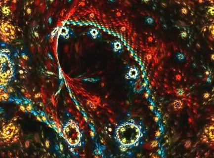 高清背景视频素材素材下载