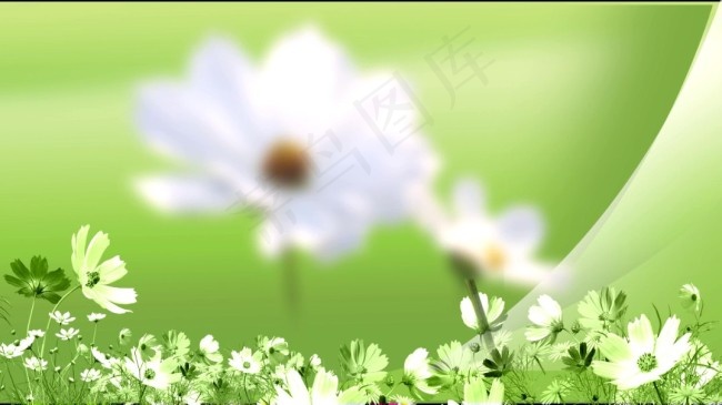 美丽的鲜花素材下载