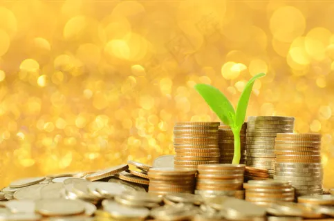 金币嫩芽小树苗孵化培育理财商务金融财富主题素材