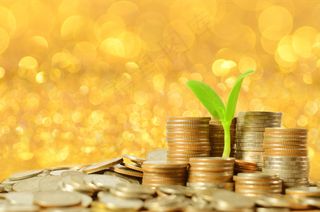 金币嫩芽小树苗孵化培育理财商务金融财富主题素材