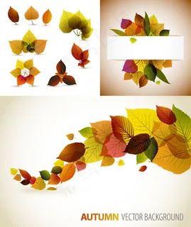 秋天树叶矢量素材