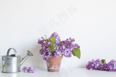 简约小清新文艺风插花静物摆拍背景