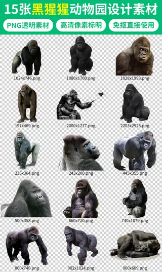 动物园黑猩猩海报设计素材