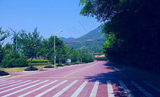 5a雁南飞 外景图片