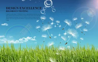 草地上的蒲公英图片