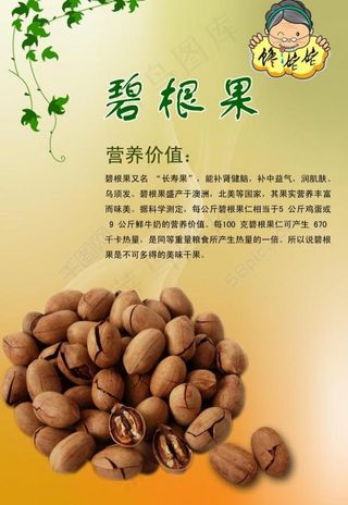 干果画册图片