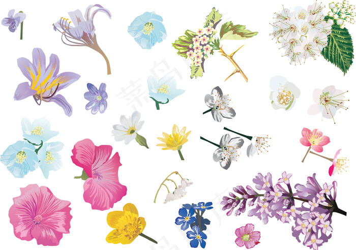 春季炫彩花卉矢量素材