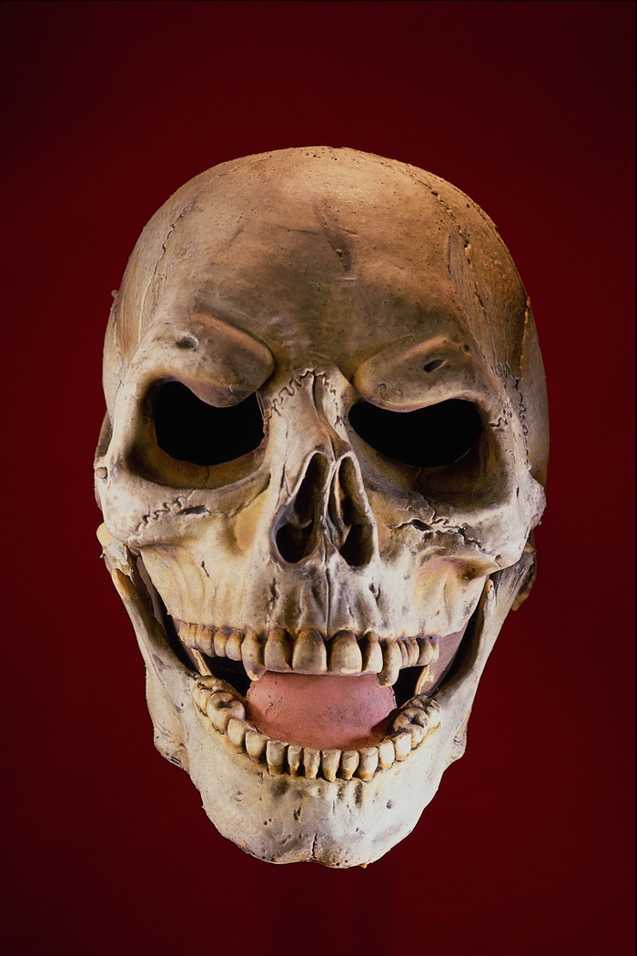 高清面具照片 4