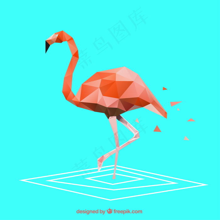 花鸟矢量图