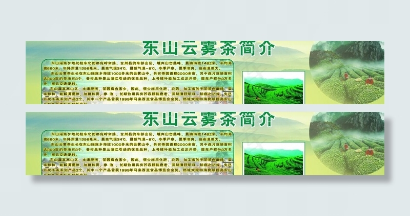 云雾茶图片cdr矢量模版下载