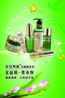 安安纯新 金橄榄