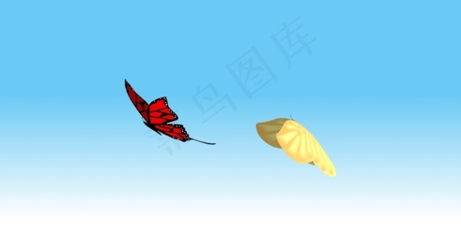 两只蝴蝶动画